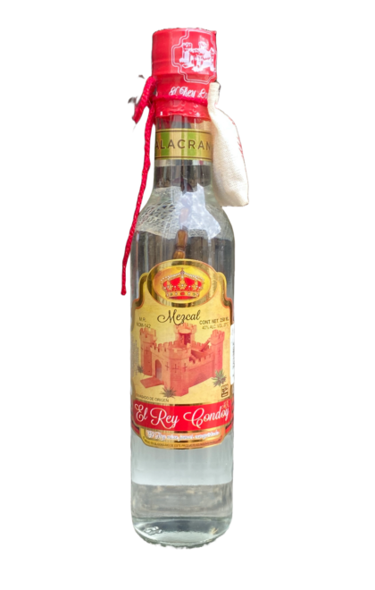 Rey condoy con alacrán